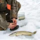 Bolsa para cañas de pesca en hielo con plataforma automática - imagen 5
