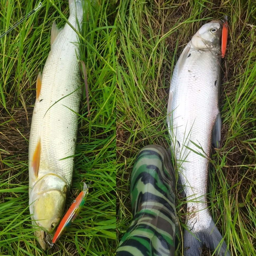 Jerkbait Flash Boot 130mm – Señuelo Flotante para Lubina - imagen 5