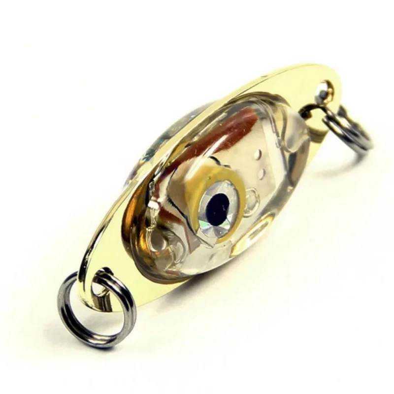 Luz LED de pesca Ojo de pez para aguas profundas con accesorio - imagen 4
