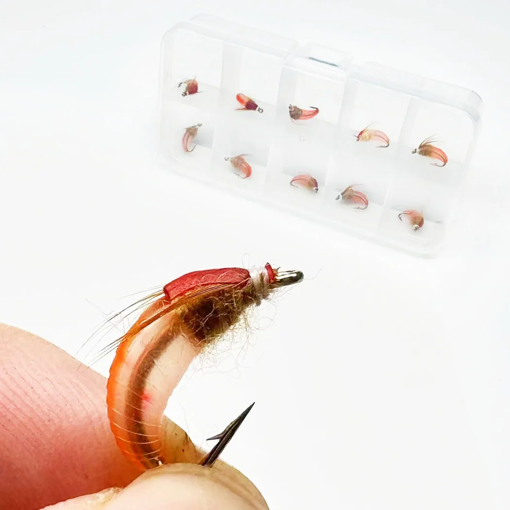Moscas y caja de almacenaje