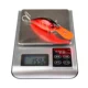 Crankbait wobbler flotante para trucha marina – cebo de superficie - imagen 3