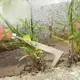 Desmalezador manual con púas afiladas de acero inoxidable para raíces de hierba - imagen 5