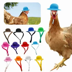 Sombrero para gallinas y aves pequeñas - Accesorio divertido