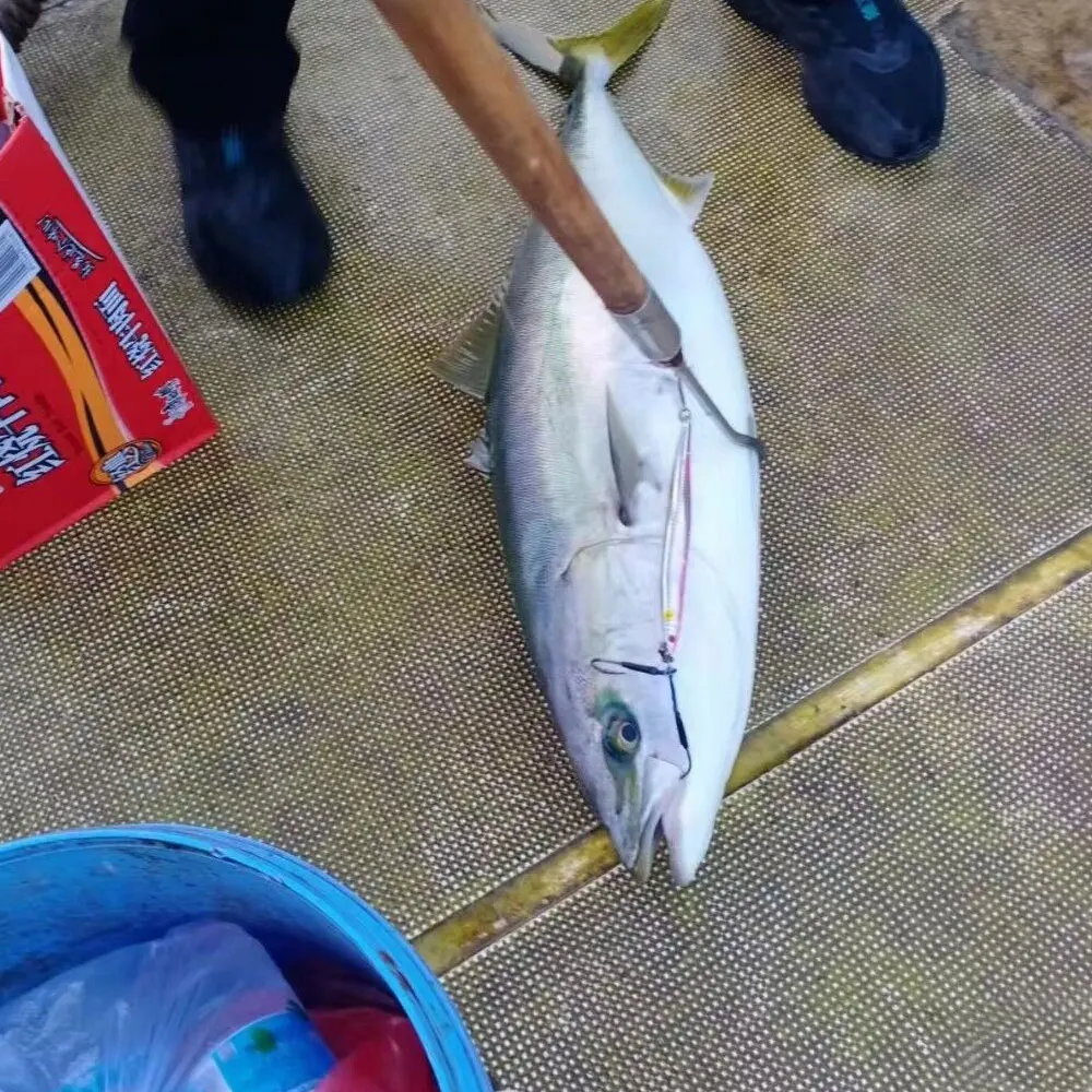 AS Fast Glow Jig - Cebo luminoso de pesca para mar - imagen 3