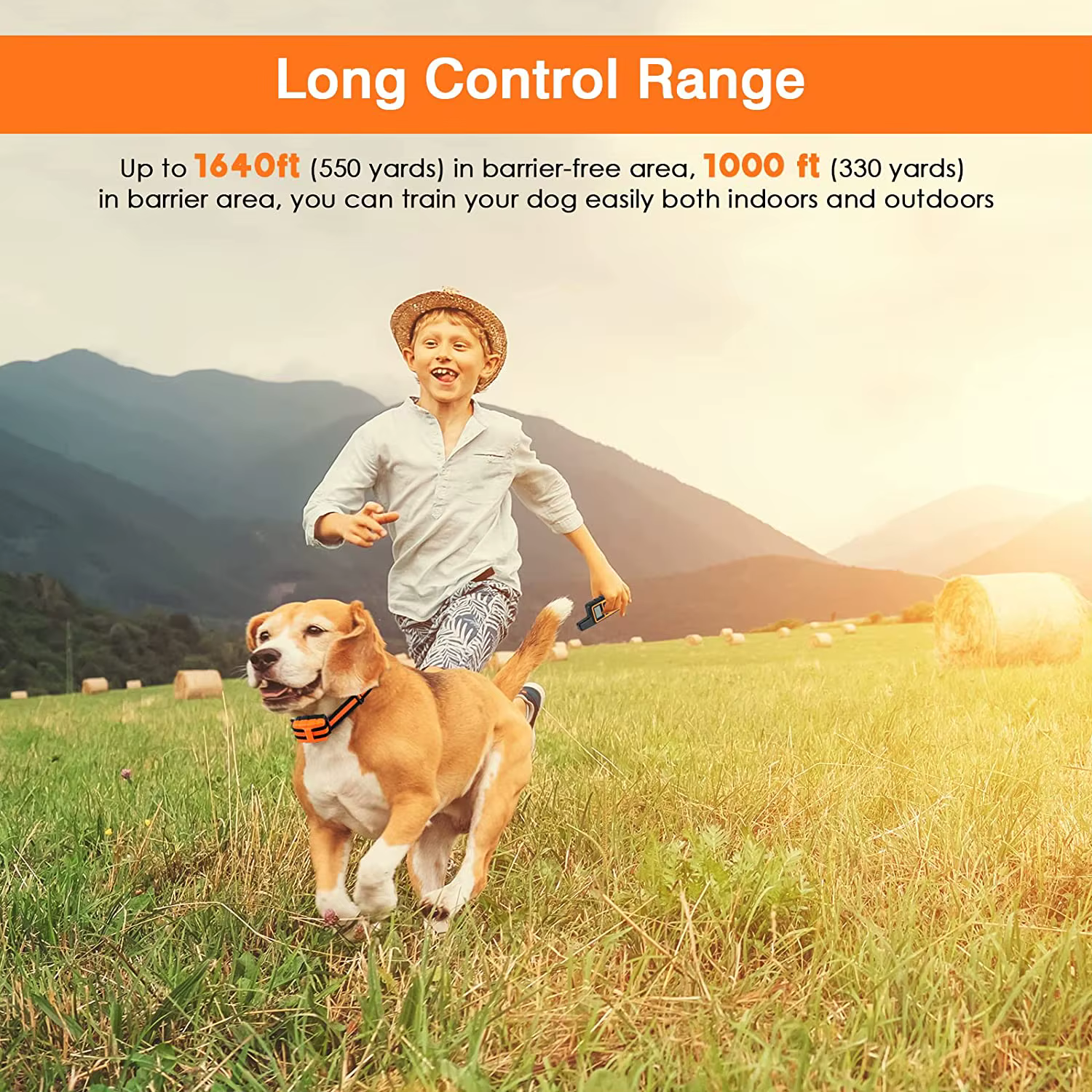 Collar entrenamiento eléctrico perro impermeable mando recargable sonido - imagen 3