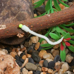 Jig Head ICERIO Squirmy Wormy #12 – Cebo ponderado para trucha