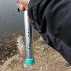 Caña telescópica de carbono ultraligera para agua dulce