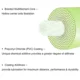 MAXIMUMCATCH Windcutter Real línea mosca doble color con bucle soldado - imagen 4