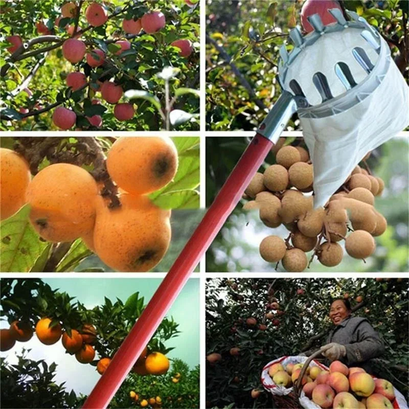 Recogedor de frutas metálico para cosecha en altura - imagen 3