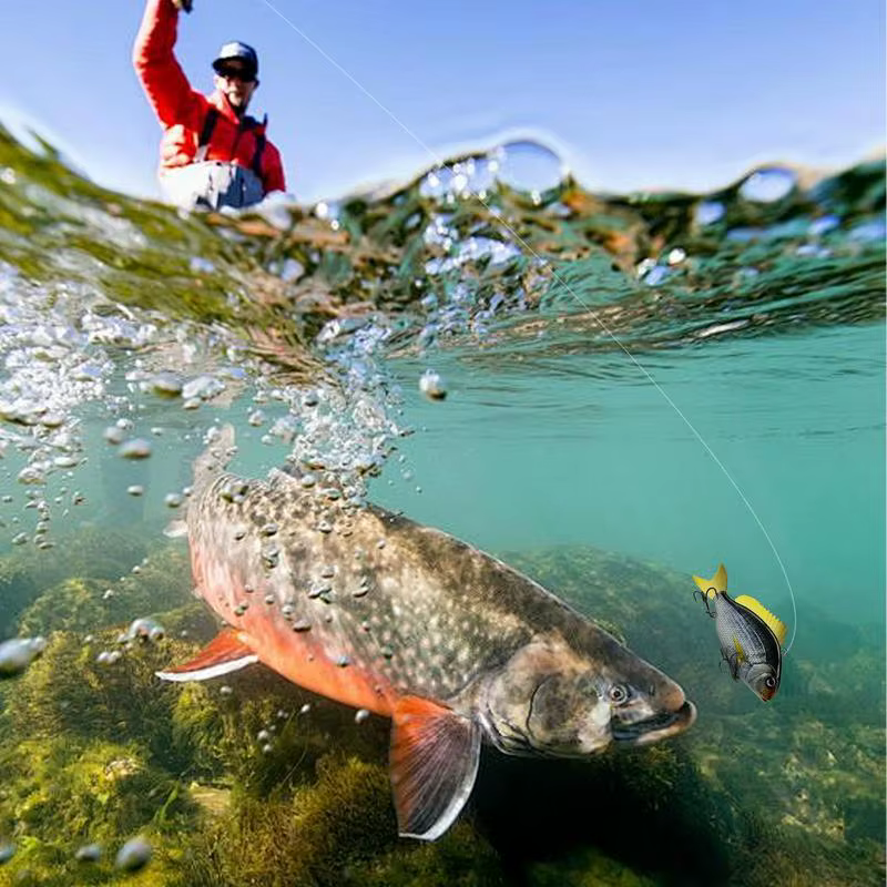 Señuelos hundidos realistas para lubina de agua dulce - imagen 5