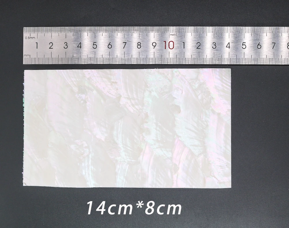 Primer plano de la textura natural de la concha
