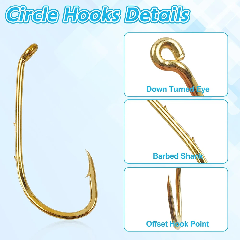 Accesorios para cebo vivo y pesca básica