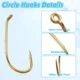 Kit de pesca para principiantes con anzuelos, flotadores y plomos - imagen 3