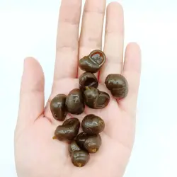 Cebo flotante caracol Duoduoyu Zig Rig TPE realista para pesca en agua dulce
