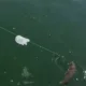 Flotador de pesca con alerta de picada sensible y diseño divertido - imagen 4