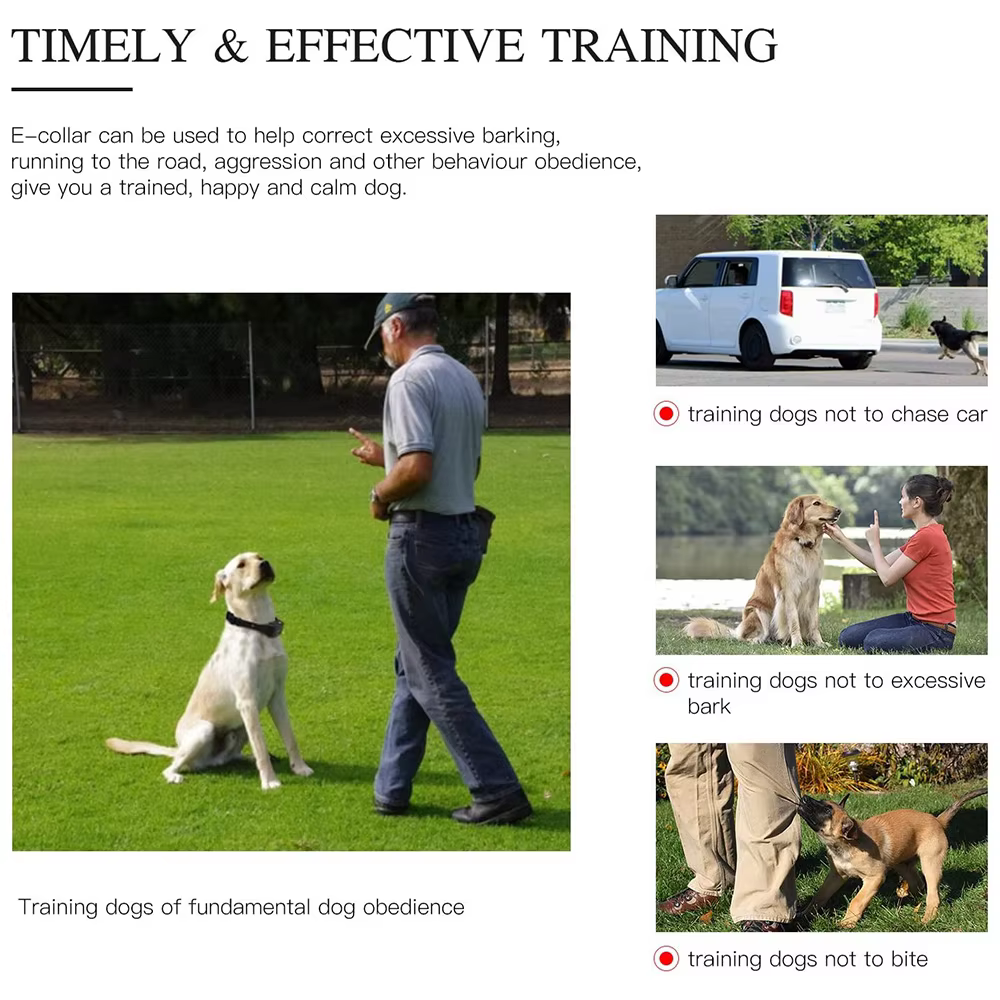 Collar entrenamiento perros remoto 800m – Resistente agua, vibración y choque - imagen 3