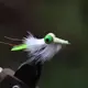 EliteTG Ojos de mancuerna latón realistas para atado de moscas