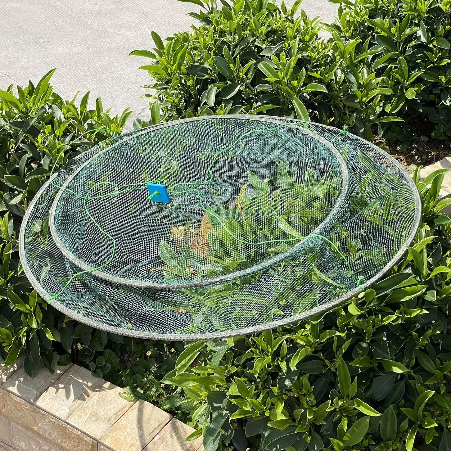 Red de aterrizaje plegable grande para gambas cangrejos y carpines
