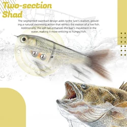 Señuelo Glide Bait con cola de fibra realista – Crankbait