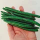 Señuelo Senko Worm biónico suave realista para lubina y carpa