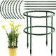 Soporte de plantas semicircular de plástico para invernadero - imagen 3