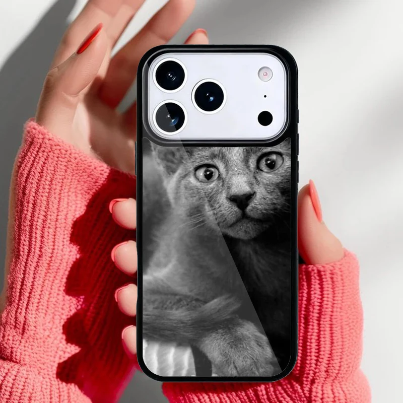 Vista alternativa de la funda decorativa