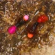 Anzuelos jig head sin barbilla con cabeza de bola para trucha - imagen 3