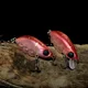 Swolfy Señuelo Minnow hundimiento lento con gran oscilación