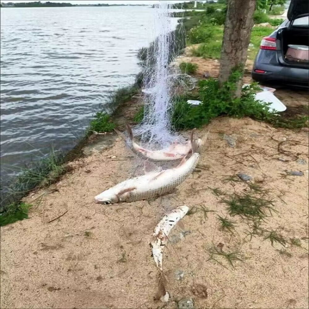 Comparativa de red de pesca con y sin cuentas luminosas