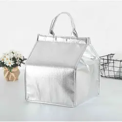 Bolsa isotérmica aluminio impermeable – Entregas de