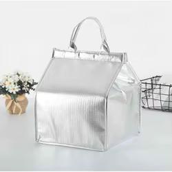 Bolsa isotérmica aluminio impermeable – Entregas de