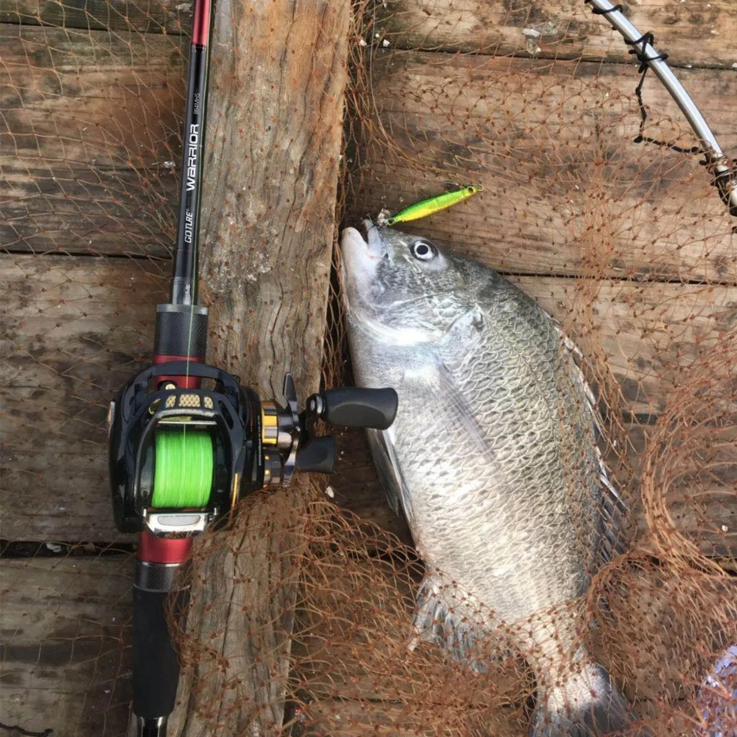 Caña spinning Goture anillas Fuji carbono 30T para casting y salada
