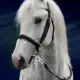 Mosquetón Pesca Liberación Rápida – Clip Pánico Zinc 10cm - imagen 4