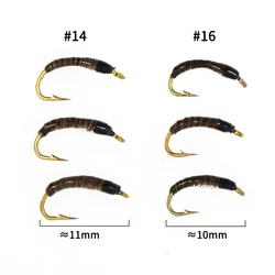 Wifreo-zumbador Mosca Ninfa Pavo Real Color Natural Tamaño 16