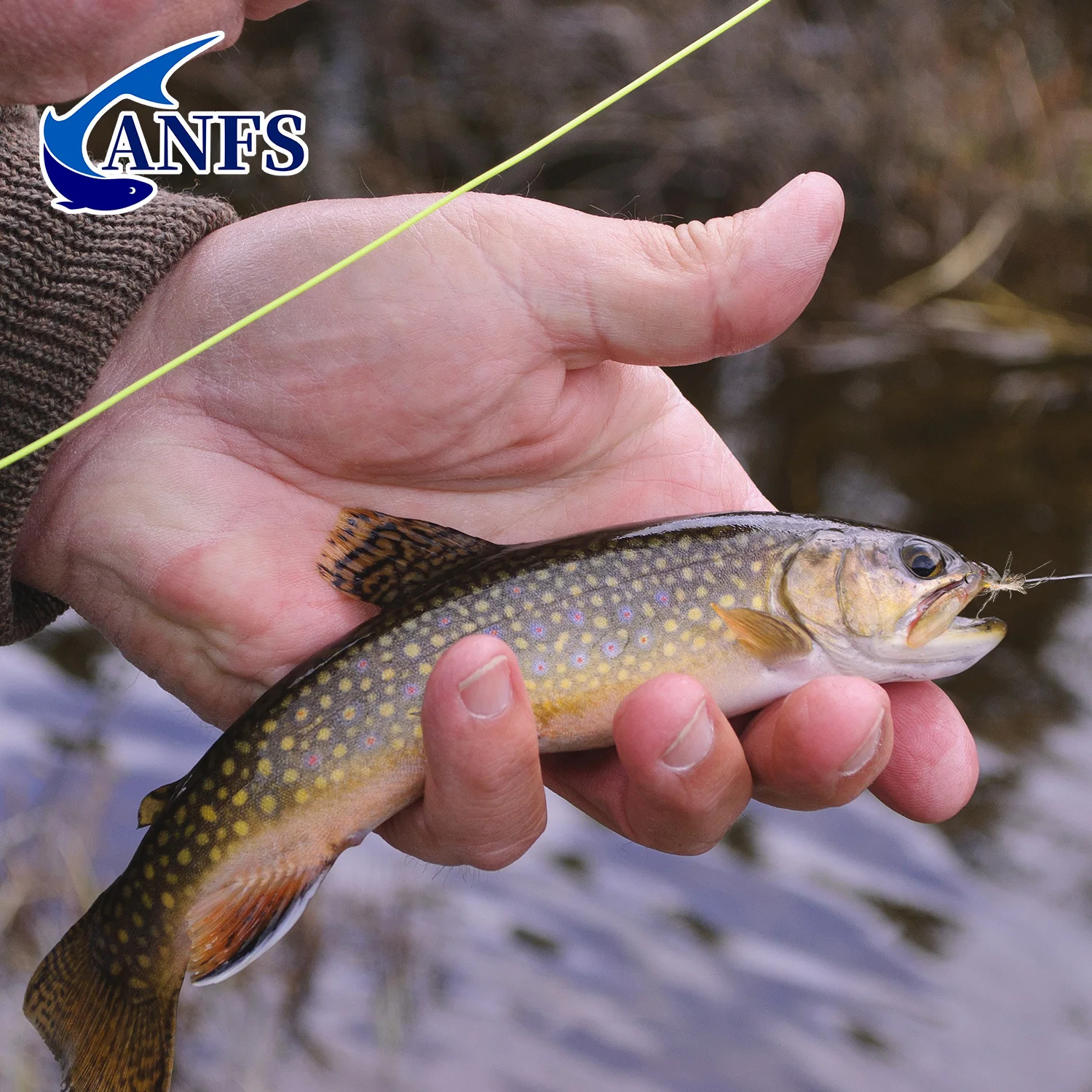 ANFS MayFlies moscas para pesca con mosca en caja seca para trucha - imagen 3