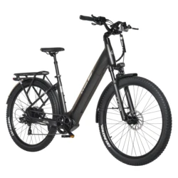 TTGO bicicleta eléctrica con batería extraíble y freno hidráulico