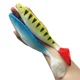Wondersee Swimbait Shad de paleta para lucio y lubina – silicona - imagen 5