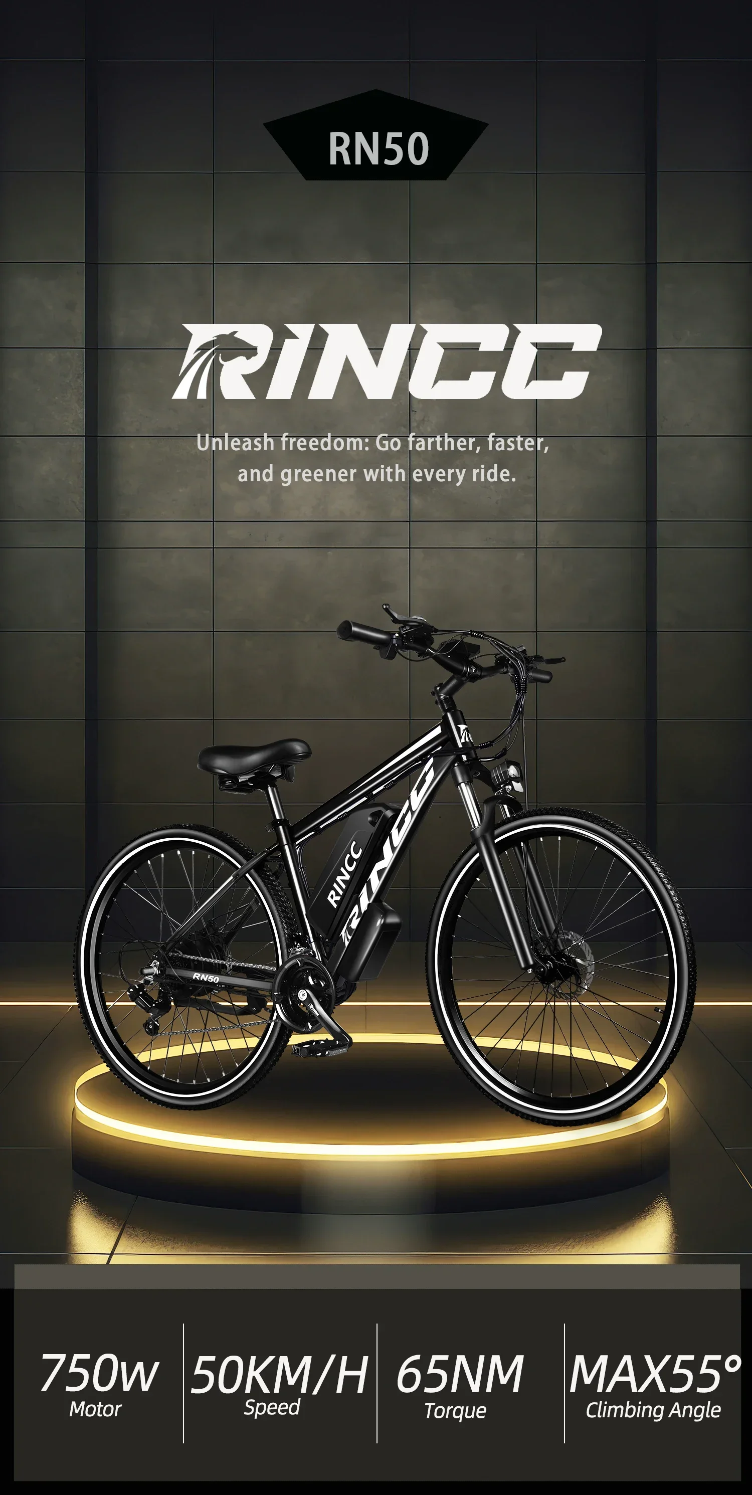 Bicicleta eléctrica Rincc RN50: 48V, 50 km/h, 65Nm – 21 velocidades y neumáticos 29″ - imagen 2