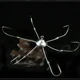 Anzuelos triples Jig Head de acero alto carbono – agua dulce - imagen 2
