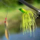 Free Fisher Spinnerbait con faldas de goma y lentejuelas Buzzbait - imagen 5