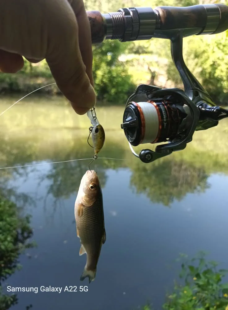 Señuelo Kingdom Micro Expert Minnow vista general
