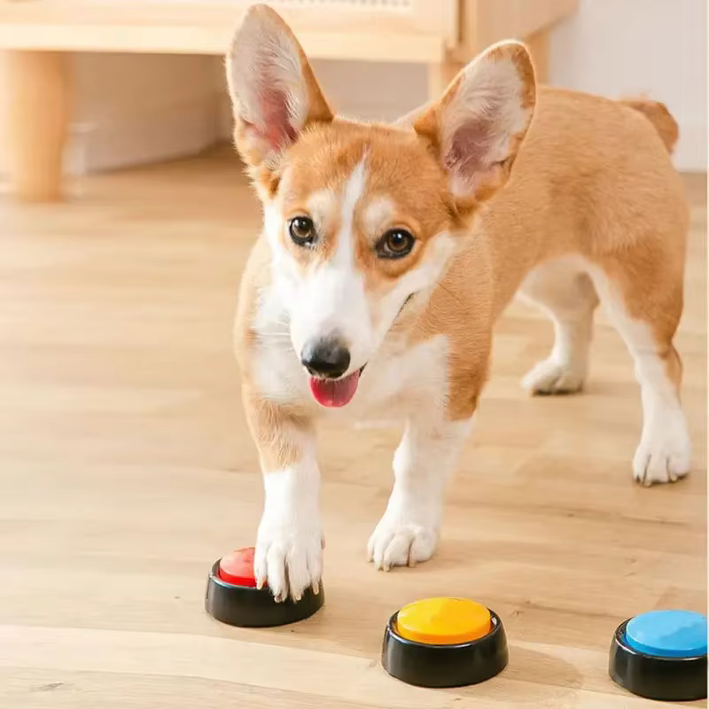 Grabadora de voz interactiva para adiestramiento de mascotas - imagen 2