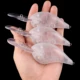 Dr.Holife Crankbait con sonajero para señuelos duros de pesca - imagen 2