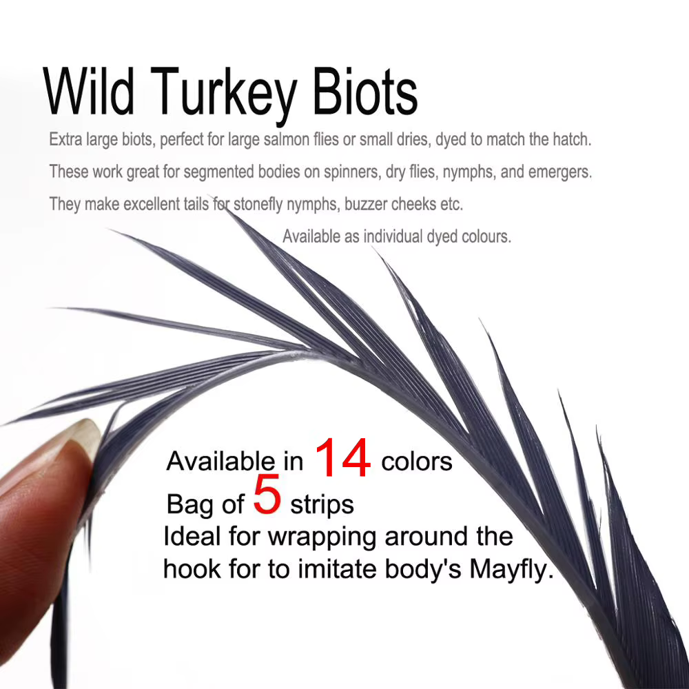Wifreo plumas Biots de pavo salvaje para atar moscas emergentes