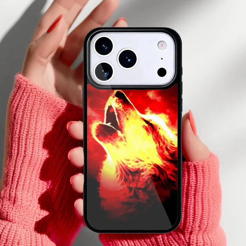 Funda en uso cotidiano