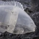 Señuelo gliderbait para lubina Dr.Holife – nado planar - imagen 4