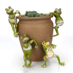Ranas trepadoras decorativas para bonsái y macetas de jardín