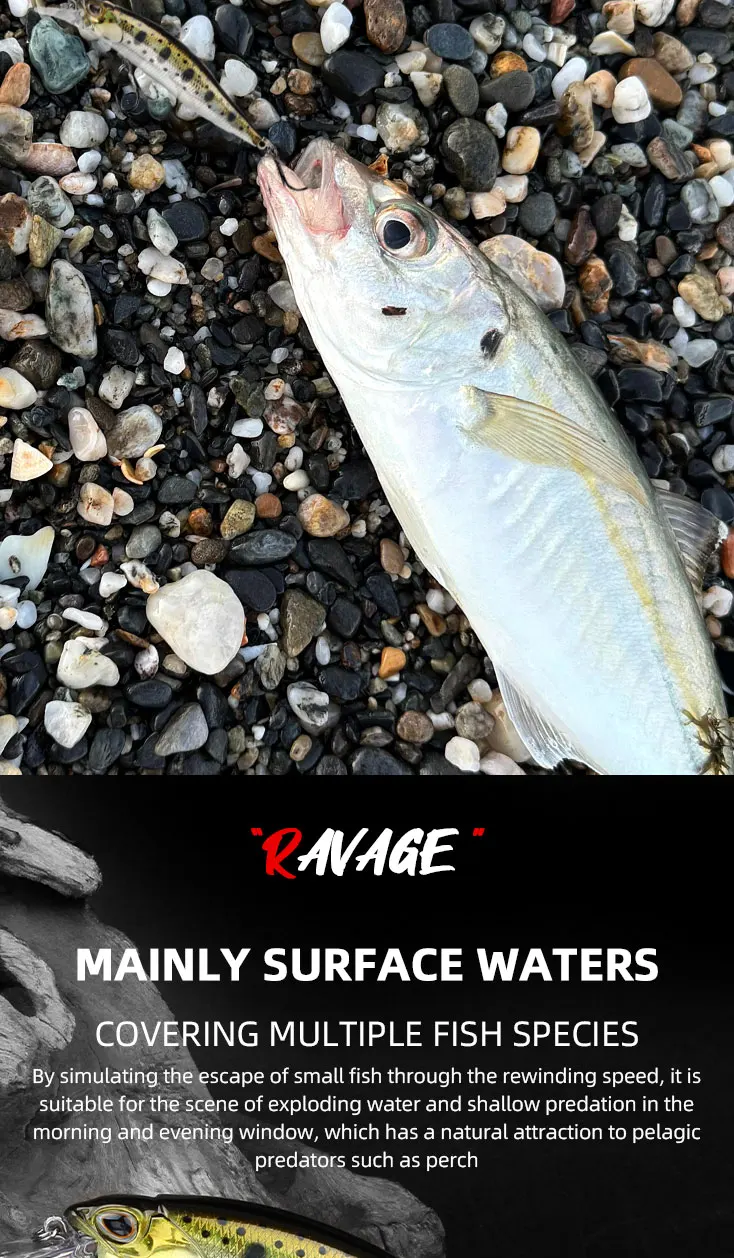 Swimbait/minnow de aspecto realista