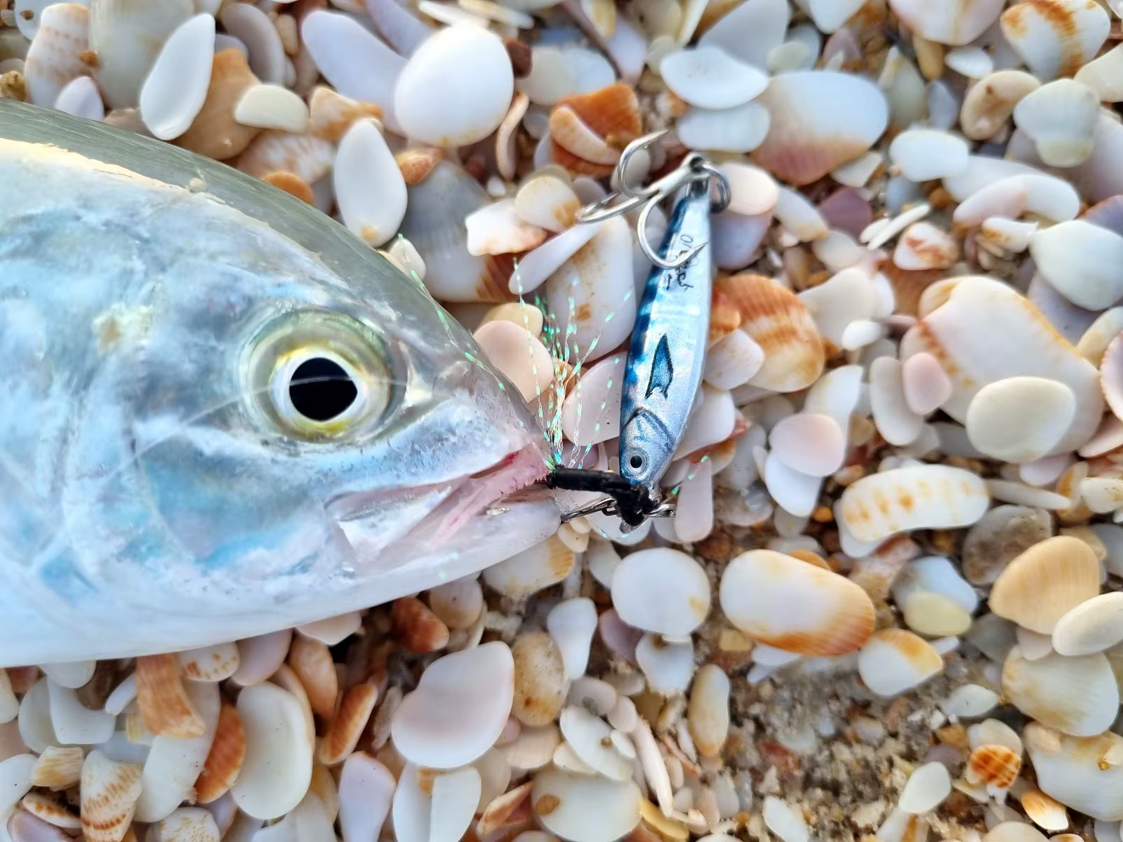 Señuelo jig metal en acción de pesca