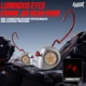 WALK FISH señuelos blandos luminosos con jig head para Ned Rig - imagen 4